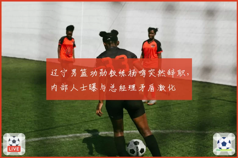 辽宁男篮功勋教练杨鸣突然辞职,内部人士曝与总经理矛盾激化