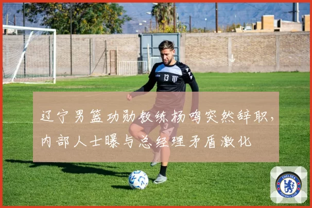 辽宁男篮功勋教练杨鸣突然辞职,内部人士曝与总经理矛盾激化