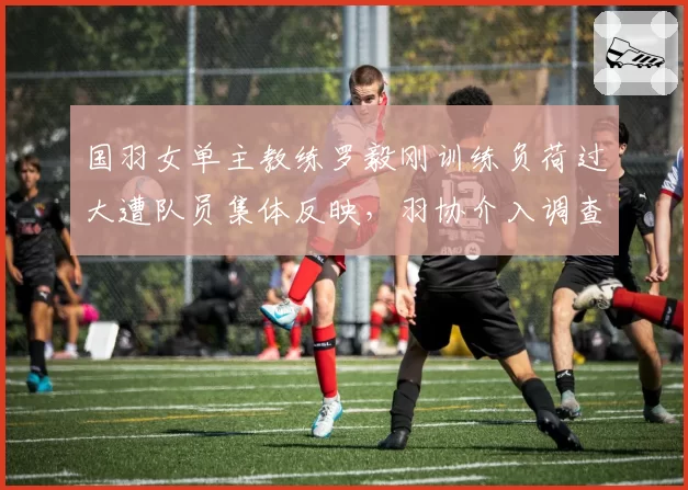 国羽女单主教练罗毅刚训练负荷过大遭队员集体反映,羽协介入调查